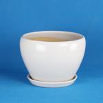 Unique Ceramic Pots For Distinctive And Eye-Catching Garden Order Here