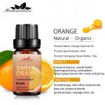 0.67oz Healthy Massage Plant Essential Oils Leaves Fragrance MSDS Certified for sale