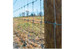 China ISO9001 Galvanized Cattle Farming Wire Mesh Fence 200m/Roll supplier