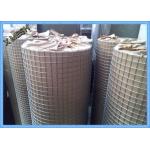 Electric Fusion Galvanised Welded Mesh Rolls Stainless Steel Wire 19 X19x1.6mm Dia for sale