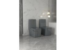 China Siphon Flushing Button Sanitary Ware Toilet One Piece P Trap S Trap supplier