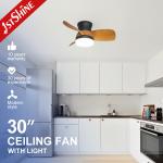 110-240V/50Hz-60Hz Decorative LED Ceiling Fan with Water Transfer Color Blades and Lights for sale