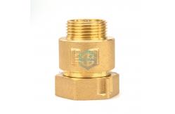China 2 Inch Brass Spring Check Valve Female Thread for  Engineering supplier