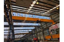 China Strength Steel Overhead Crane Machine Pendent Control and Customized Speed supplier