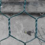Polyester Separation Stone Cage Wire Mesh 80x100mm Gabion Wall Mesh for sale