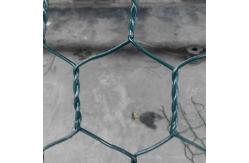 China Polyester Separation Stone Cage Wire Mesh 80x100mm Gabion Wall Mesh supplier