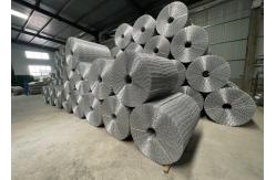 China Hot Dipped Galvanized Reinfored Welded Mesh For Offshore Gas Pipeline supplier