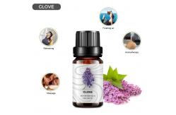China Diffuser OEM Essential Oil 50ml MSDS 100% Pure Clove Essential Oil Aromatherapy supplier