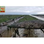 0.915m Width Oyster Nets Aquaculture Netting 700GSM 9MM * 9MM Mesh Size for sale
