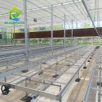 Customized Greenhouse Rolling Bench Grow Table with Easy Construction Advantage and Hot Galvanized Steel Frame Structure for sale