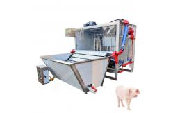 China Pig Slaughter Machine Pig Slaughter Line Pig Slaughter Pig Scalding And Dehairing Machine supplier