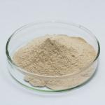 Pharmaceutical Enzymes Of Pancreatic Juice Customized Pancreatin Powder Food Grade for sale