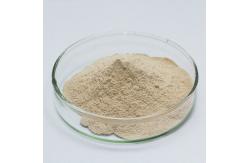 China Customized Proteolytic Enzymes In Pancreatic Juice 2000u/G For Feed Processing supplier