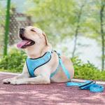 Polyester Dog Harness Set Custom Comfortable Pet Cat Harness And Leash Set