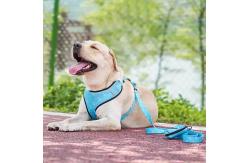 China Polyester Dog Harness Set Custom Comfortable Pet Cat Harness And Leash Set supplier
