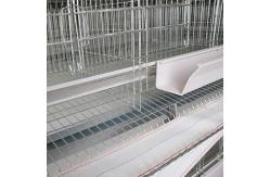 China Auto Feeding Egg Laying Chicken Cages , Q235 Steel Wire Layer Bird Cage supplier