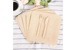 China ODM Square Compostable Bamboo Picnic Plates 25x25 Cm supplier