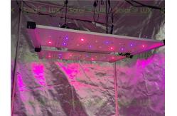 China 650Watt UV Channel LED Grow Panel Light supplier