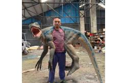 China Playgrounds Dino Hand Puppet Weatherproof Children Age Hand Dinosaur Puppet supplier