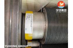 China ASTM A376 TP347H solid Spiral High Frequency weld HFW Fin Tube With 11Cr supplier