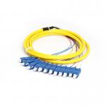 SC Single Mode Fiber Optic Pigtail 12-Core APC/UPC Bundled Pigtail G652D for sale