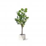 120cm 160cm Artificial Ficus Lyrata House Floor Plants Evergreen Refreshing Plants for sale
