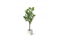 China 120cm 160cm Artificial Ficus Lyrata House Floor Plants Evergreen Refreshing Plants supplier