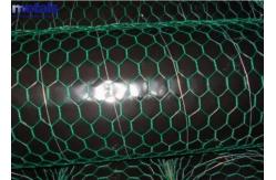 China PVC Coated Hexagonal Wire Mesh Netting 1 Inch For Chicken Coop supplier