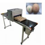 12V 4A Eggs Continuous Inkjet Printer , High Speed Inkjet Date Code Printer  for sale