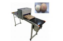 China 12V 4A Eggs Continuous Inkjet Printer , High Speed Inkjet Date Code Printer  supplier