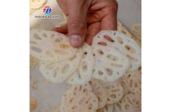 China Stainless steel multi-functional pepper, onion and radish slicer supplier