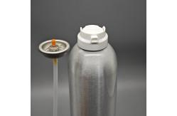China Newest Shaving Foam Cleaner Spray Valves with Actuator for Aerosol Cans supplier