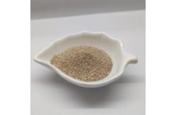 China Piglets Feed Additive Feed Probiotics Bacillus Subtilis Compound Microbial Preparation supplier