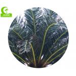 Wind Resistance Anti Aging 1200cm Artificial Tropical Tree For Hotle