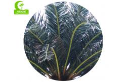 China Wind Resistance Anti Aging 1200cm Artificial Tropical Tree For Hotle supplier