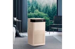 China UVC True HEAP Ionic Air Purifier Near by me supplier