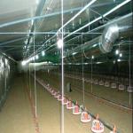 Fully Automated Ventilated Chicken Coop Light Steel Frame Structure Building