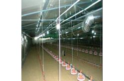 China Fully Automated Ventilated Chicken Coop Light Steel Frame Structure Building supplier