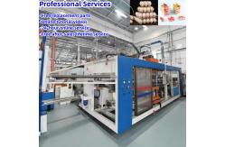 China Fully automatic Plastic Tray Vacuum Forming Machine supplier
