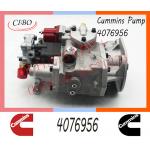 Diesel Injection For Cummins KTA19-C NTA855-M Fuel Pump 4076956 3068708