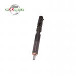 Common Rail Injector EJBR05101D EJBR05102D 166001137R