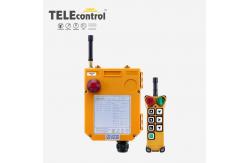 China F24-6S Industrial Radio Remote Control System Telecontrol 3 Axis Remote Hoist Crane supplier