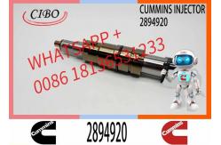 China Neutral fuel Injector 5579415 2894920 2872405 for Cum-mins ISX15 QSX15 supplier
