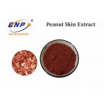 China Peanut Skin Extract 95% Proanthocynidins for sale