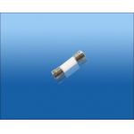 3.6x10mm Glass Fuses Axial-leaded Fast-Acting Single Cap Ceramic Tube Fuses for sale