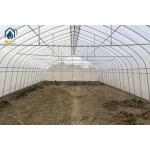 Commercial Agriculture High Tunnel Green Houses Single Span Metal Frame Greenhouse for sale
