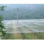 White 50 Mesh 5m Insect Screen For Greenhouse Anti mosquito screen