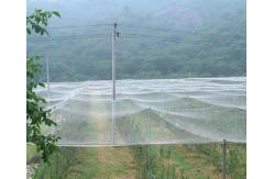China White 50 Mesh 5m Insect Screen For Greenhouse Anti mosquito screen supplier