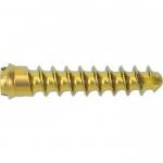 Anterior Cervical Screw Orthopedic Surgery Instrument For Cervical Fixation