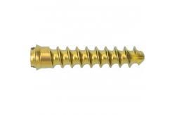 China Anterior Cervical Screw Orthopedic Surgery Instrument For Cervical Fixation supplier